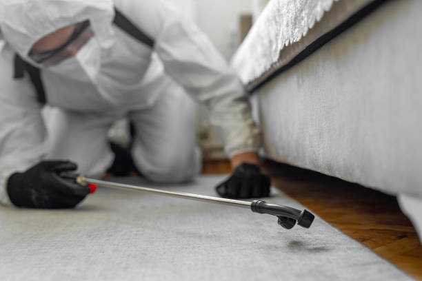 Professional Bed Bug Control technician working in Lafayette County County, WI
